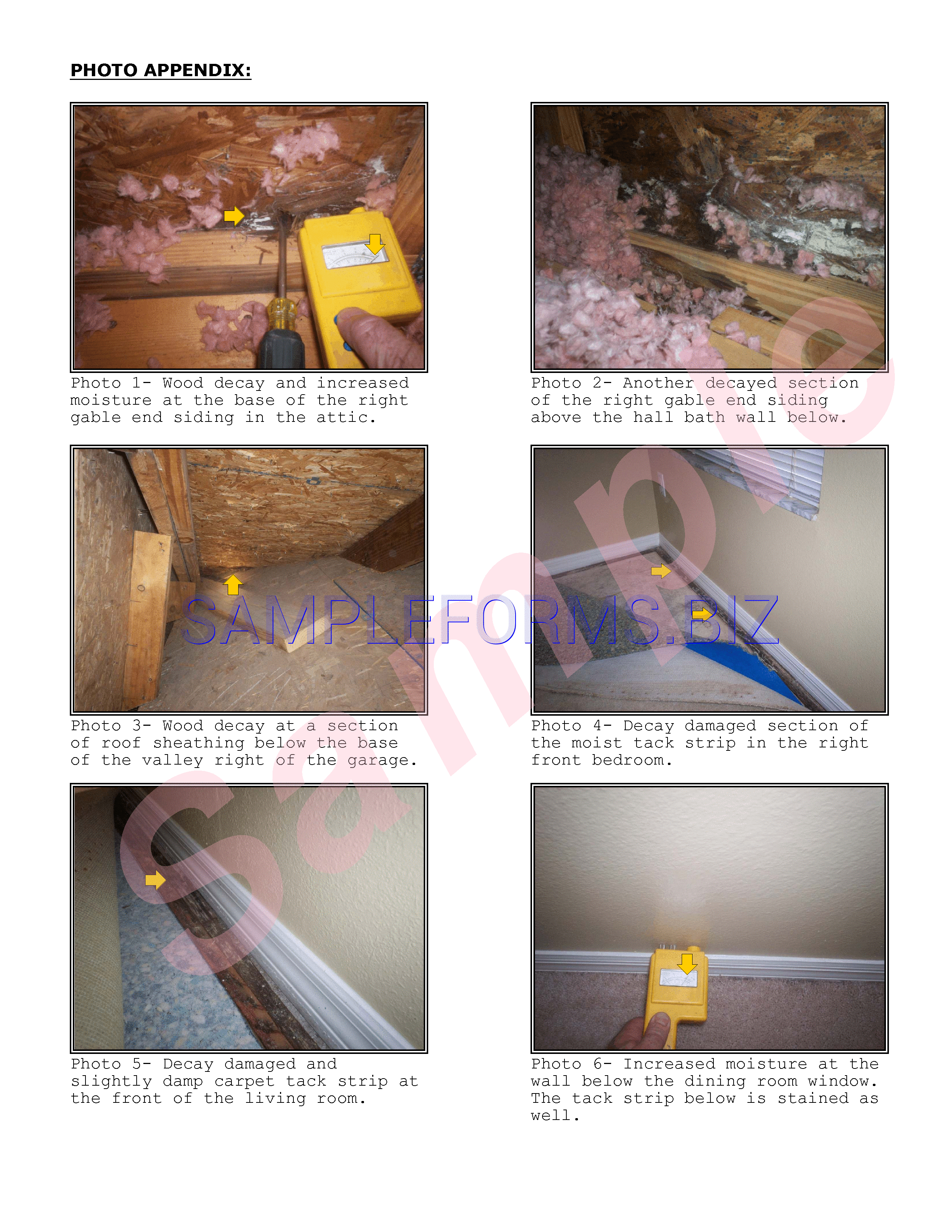 Preview free downloadable Home Inspection Report Sample 2 in PDF (page 10)